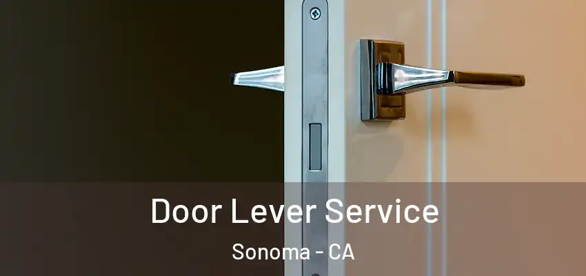  Door Lever Service Sonoma - CA