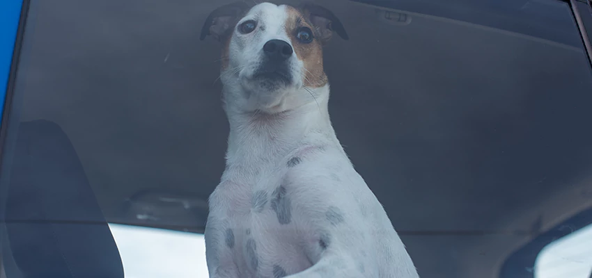 Car Lockout Solutions in Sonoma, California